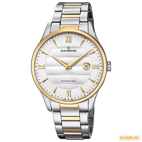 Наручные часы CANDINO C4639 1