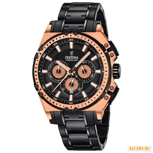 Наручные часы FESTINA F16972 1