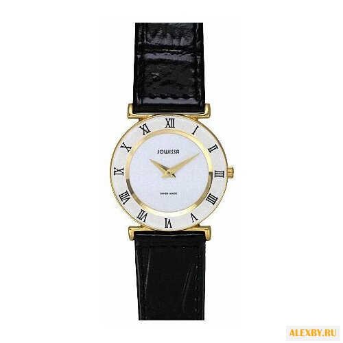 Наручные часы JOWISSA J2.028.S