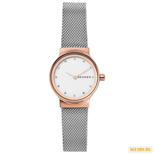 Наручные часы SKAGEN SKW1101