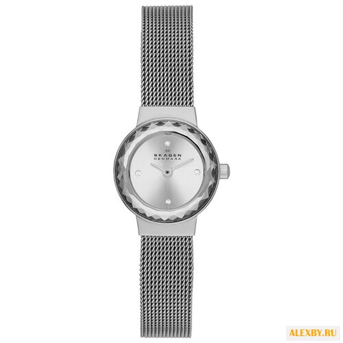 Наручные часы SKAGEN SKW2184