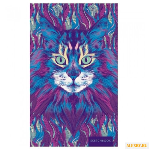 Скетчбук Канц-Эксмо Дикий кот