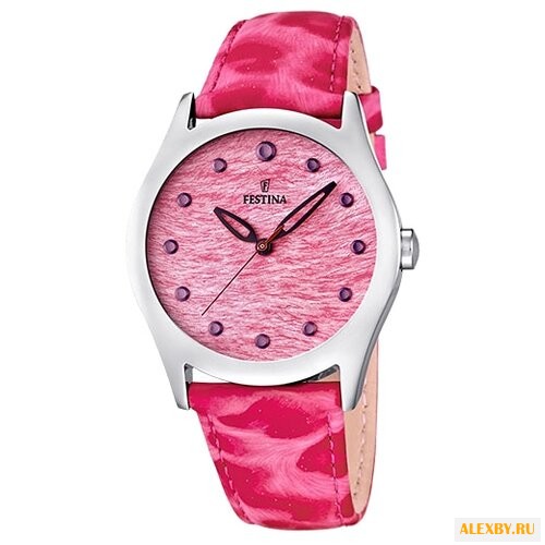 Наручные часы FESTINA F16648 2
