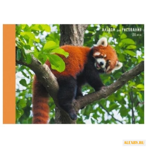 Альбом для рисования Канц-Эксмо