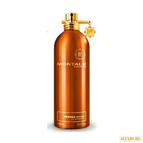MONTALE Aoud Orange