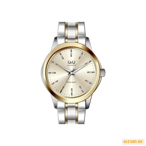 Наручные часы Q&Q Q861 J400
