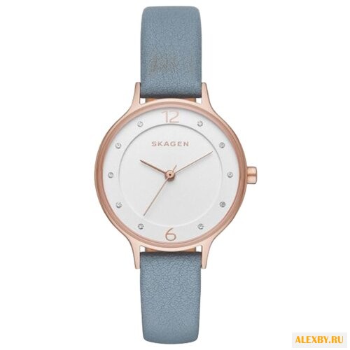 Наручные часы SKAGEN SKW2497