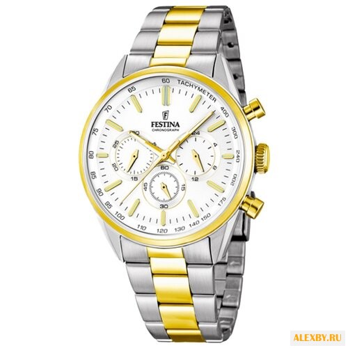 Наручные часы FESTINA F16821 1