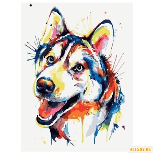 Цветной Картина по номерам