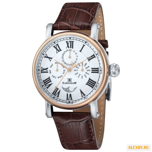 Наручные часы EARNSHAW ES-8031-03