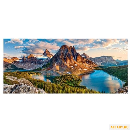 Пазл Castorland Assiniboine