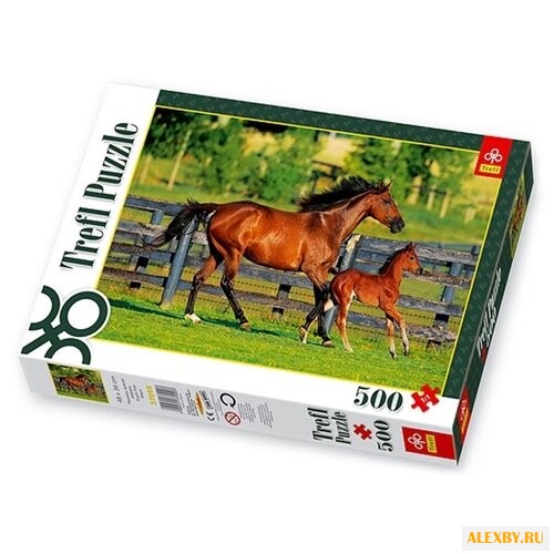 Пазл Trefl Первые шаги 37095