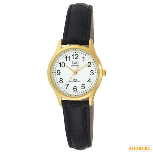 Наручные часы Q&Q C179-104