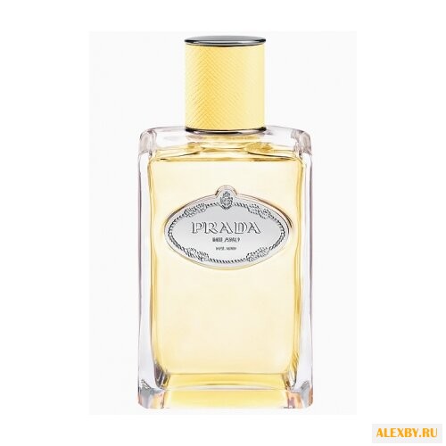 Prada Infusion de Mimosa