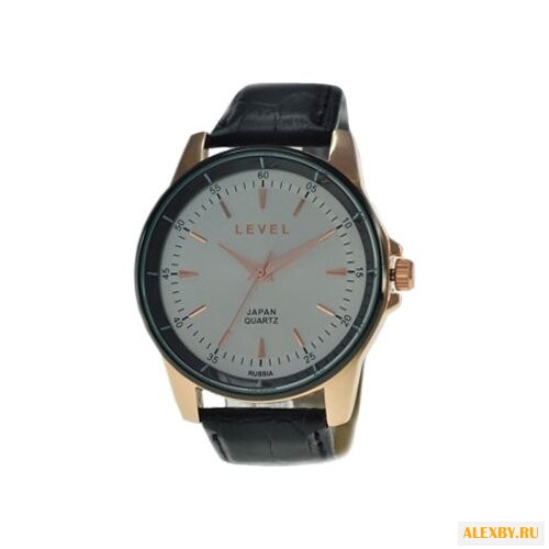 Наручные часы LEVEL 1225137R