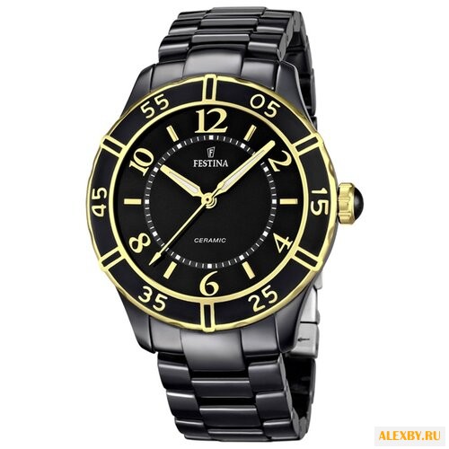 Наручные часы FESTINA F16633 2