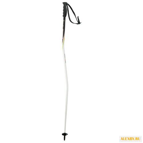 Палки для горных лыж Elan Race