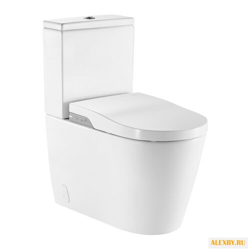 Унитаз-биде Roca Inspira