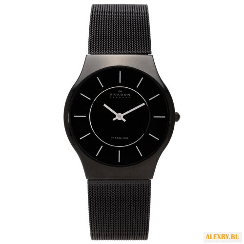 Наручные часы SKAGEN 233LTMB