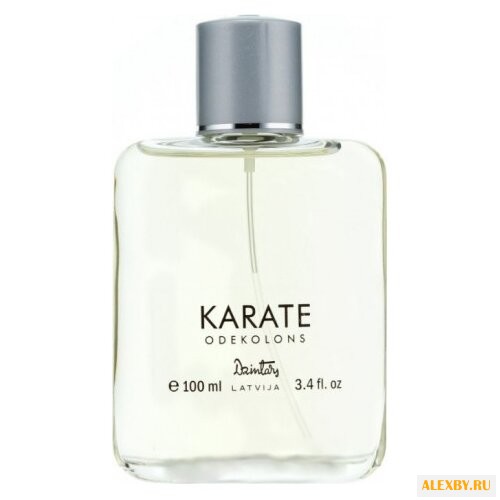 Dzintars Karate