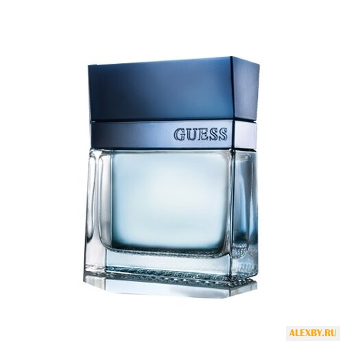 Guess Guess Seductive Homme Blue