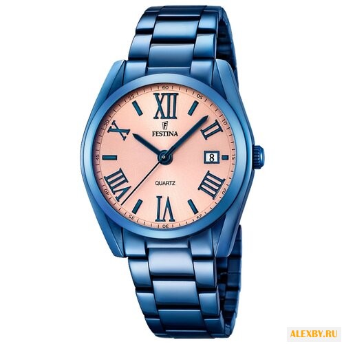 Наручные часы FESTINA F16864 1