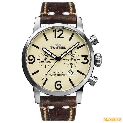 Наручные часы TW Steel MS23