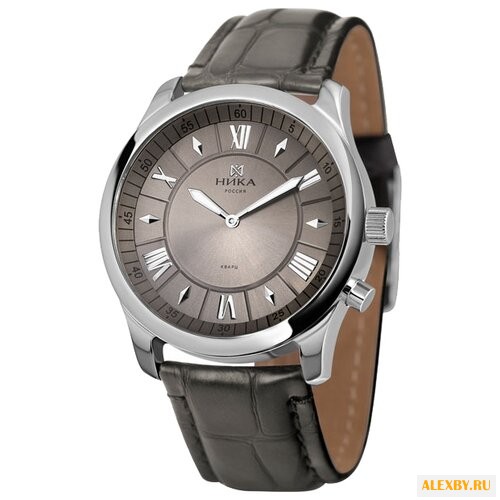 Наручные часы НИКА 1198B.0.9.73A