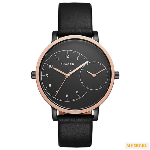 Наручные часы SKAGEN SKW2475