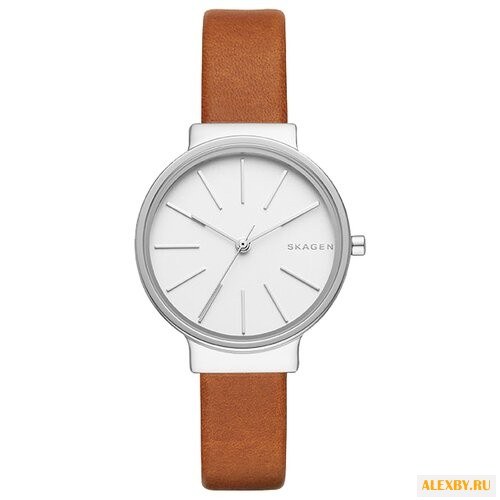 Наручные часы SKAGEN SKW2479
