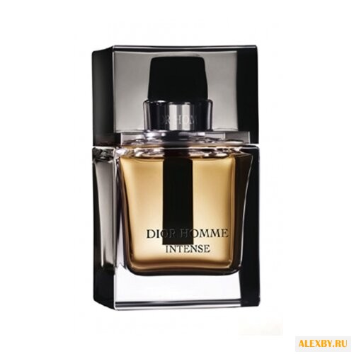 Christian Dior Dior Homme Intense