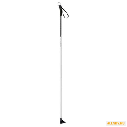 Лыжные палки Fischer XC Sport