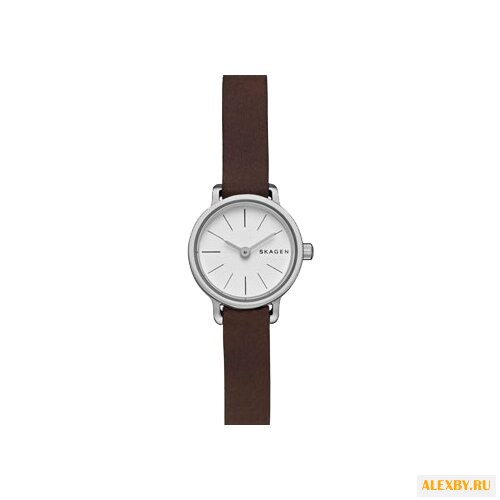 Наручные часы SKAGEN SKW2360