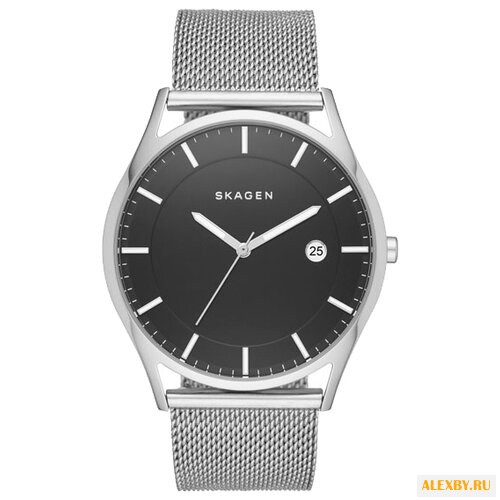 Наручные часы SKAGEN SKW6284