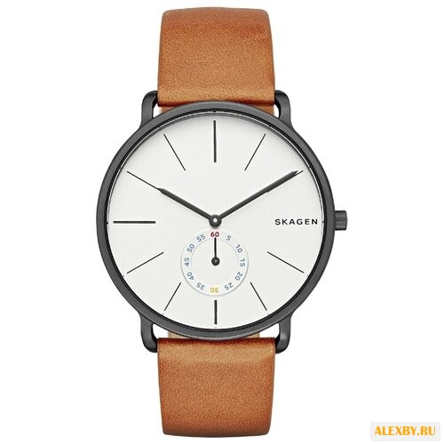 Наручные часы SKAGEN SKW6216