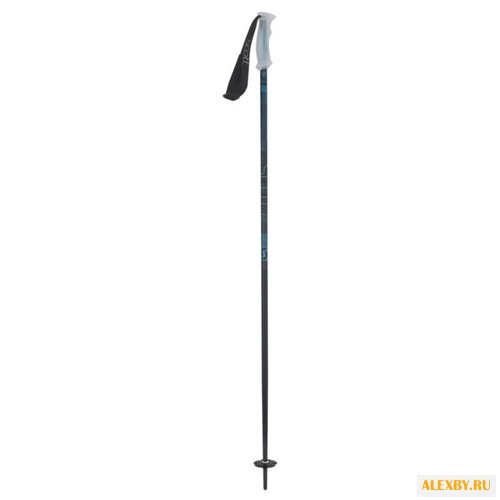 Палки для горных лыж SCOTT KOKO