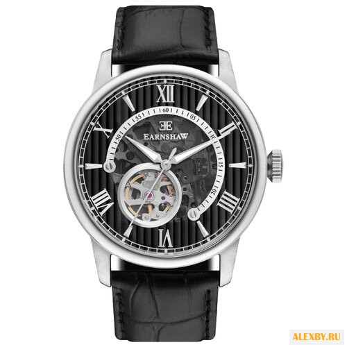 Наручные часы EARNSHAW ES-8802-01