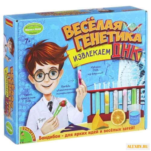 Набор BONDIBON Веселая