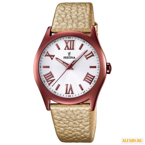 Наручные часы FESTINA F16649 6
