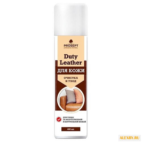 PROSEPT Аэрозоль для очистки и