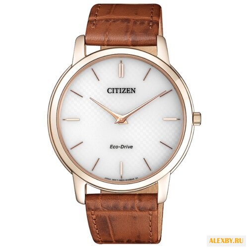 Наручные часы CITIZEN AR1133-15A