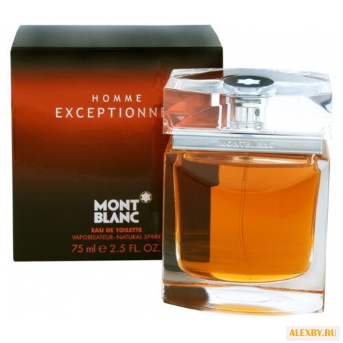 Montblanc Homme Exceptionnel