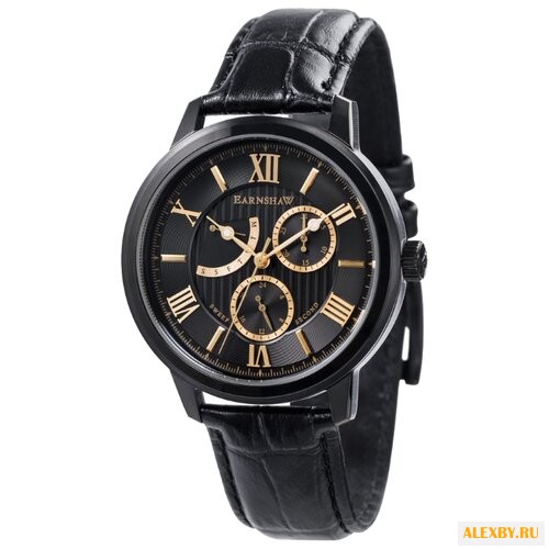 Наручные часы EARNSHAW ES-8060-05
