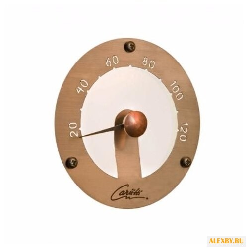 Термометр Cariitti 1545812