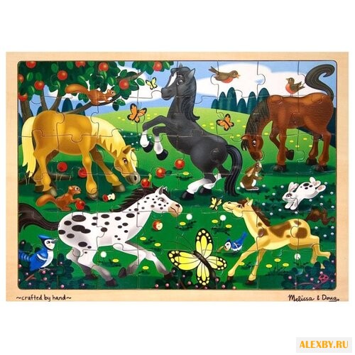 Рамка-вкладыш Melissa & Doug