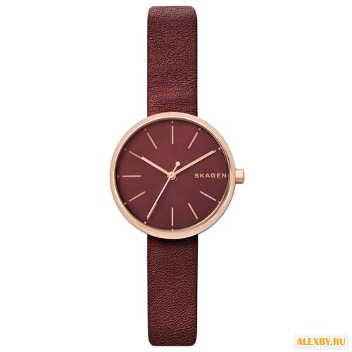 Наручные часы SKAGEN SKW2646
