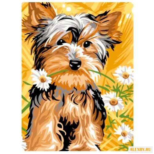 Цветной Картина по номерам