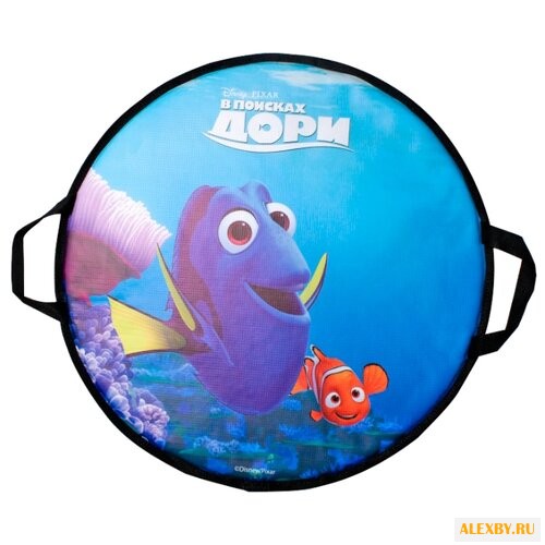 Ледянка 1 TOY В поисках Дори