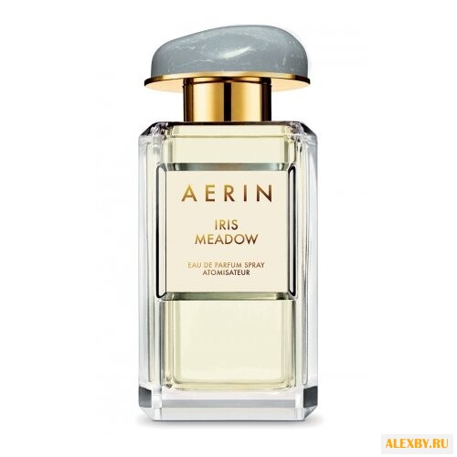 AERIN Iris Meadow