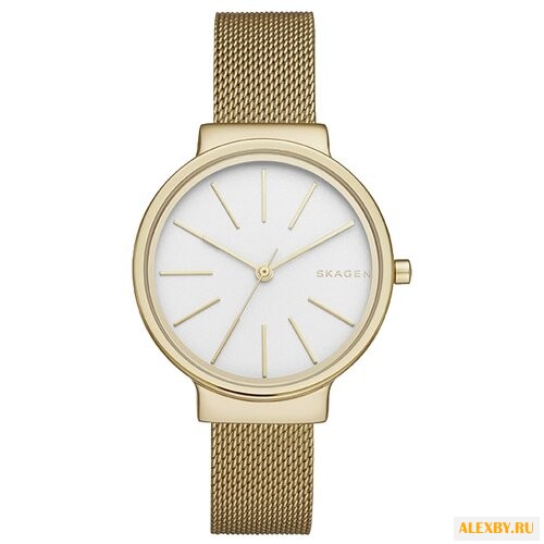 Наручные часы SKAGEN SKW2477
